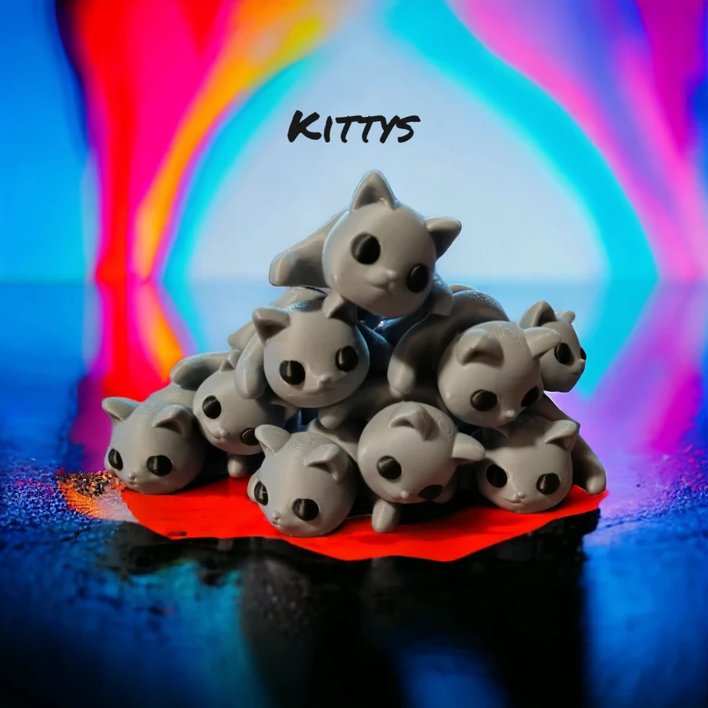 Katzenbabys