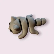Katzenbabys