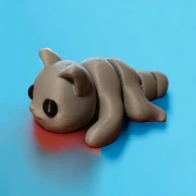 Katzenbabys